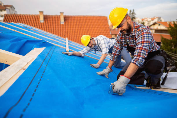 Best Local Roofing Companies  in Mcnair, VA