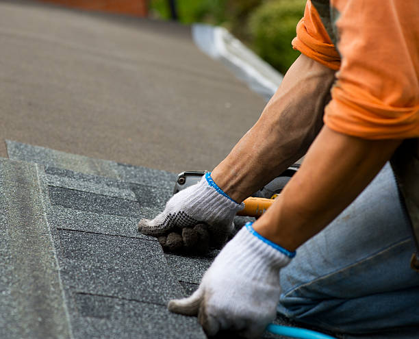 Best Roof Leak Repair  in Mcnair, VA